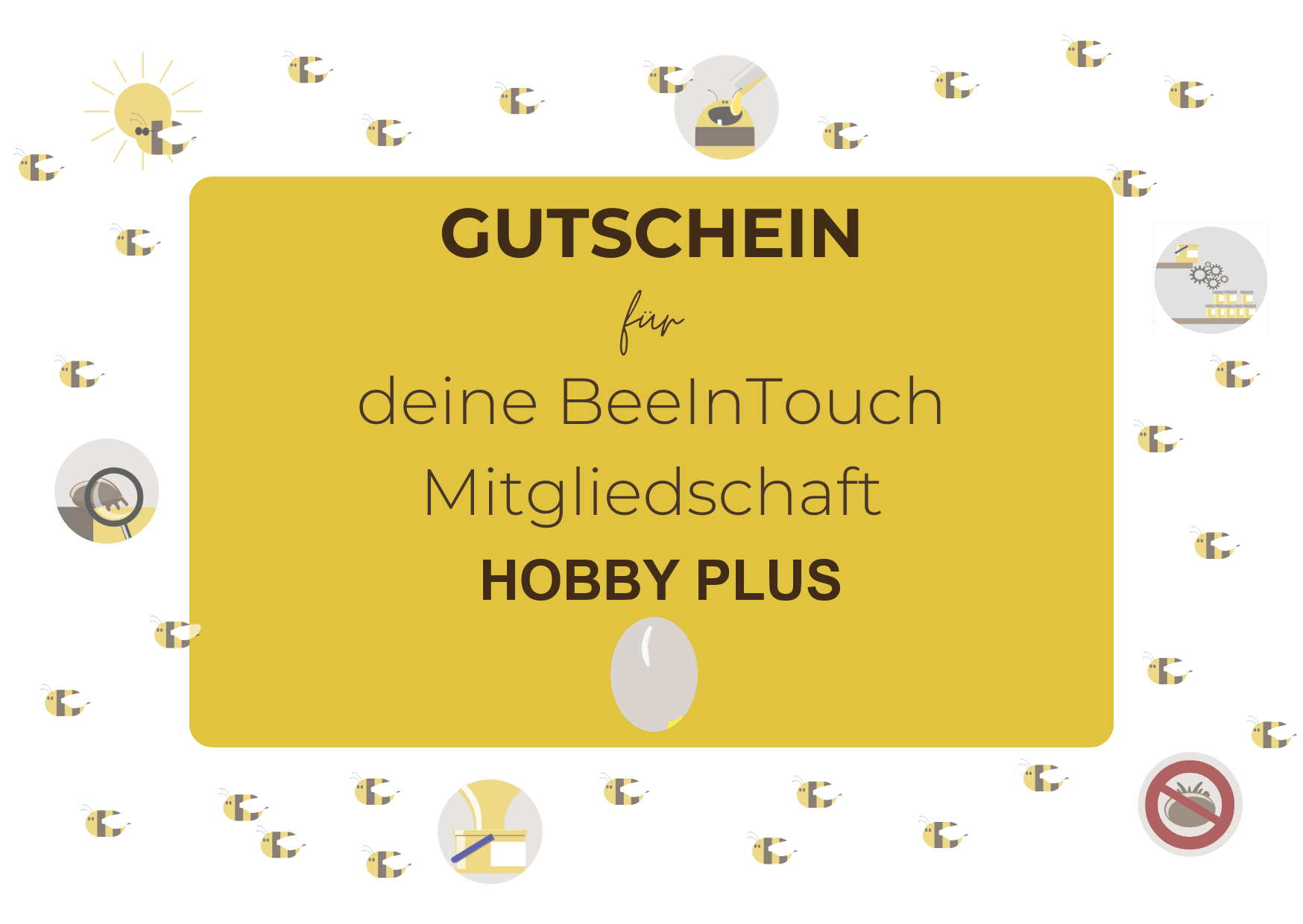 Gutschein Erweiterung Hobby plus